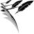 Logotipo del grupo Biography Writing